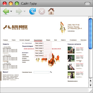 Создание сайта компании «Альфа Хорс»