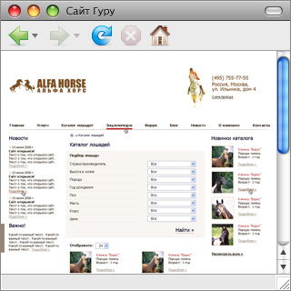 Создание сайта компании «Альфа Хорс»